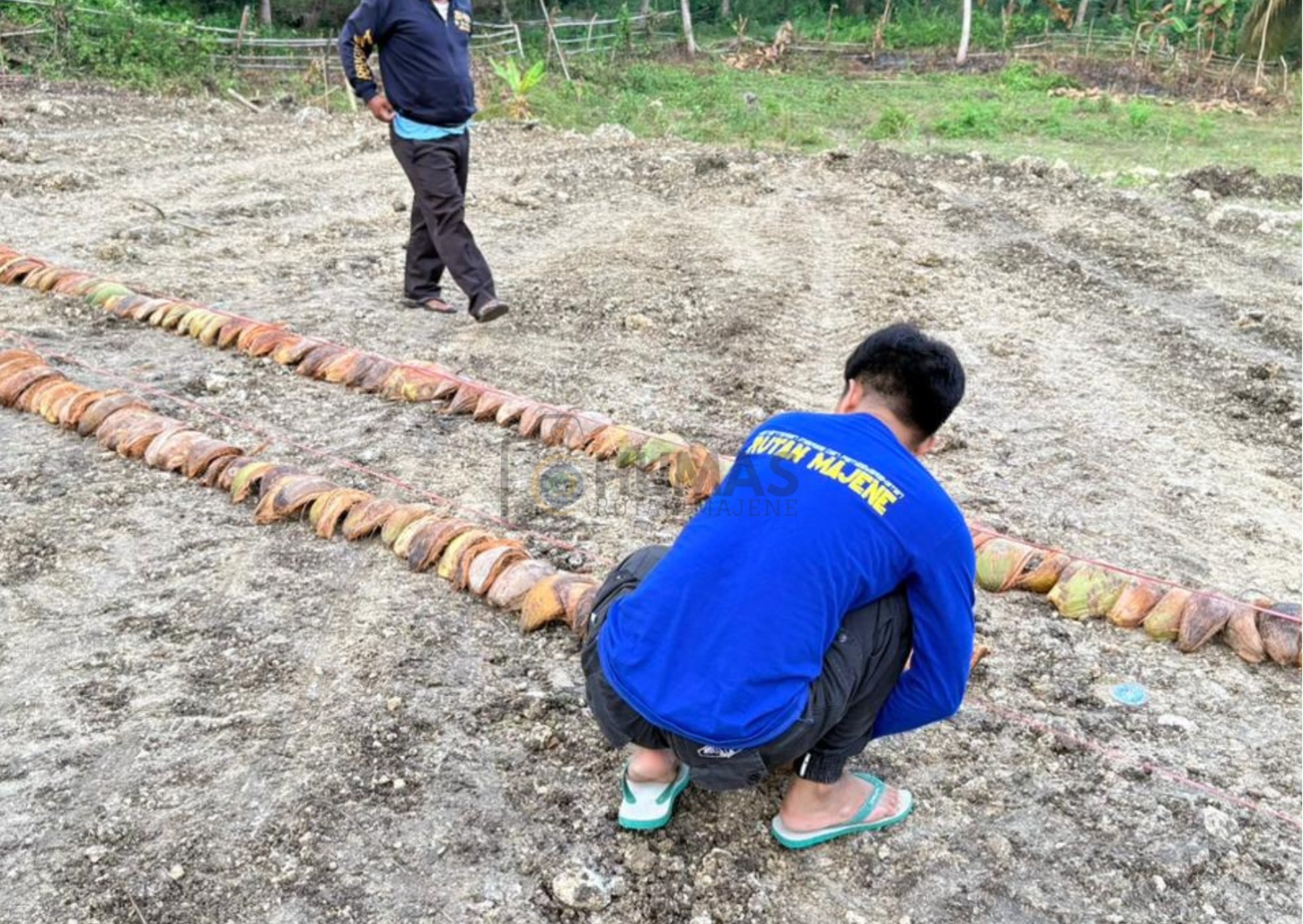 Akselerasi Penyiapan Lahan SAE, Rutan Majene Hadirkan Inovasi Pemanfaatan Limbah Kelapa