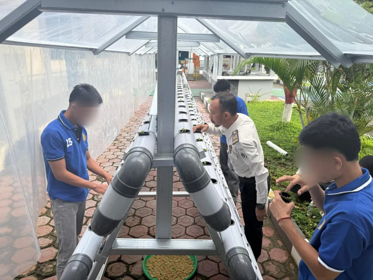 Awali 2026 dengan Aksi Nyata, LPKA Mamuju Bersama Anak Binaan dan Peserta Magang Tanam Selada Hidroponik Dukung Ketahanan Pangan Nasional