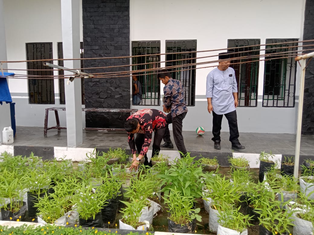 Dukung Ketahanan Pangan Nasional, LPKA Mamuju Bersama Peserta Magang dan Anak Binaan Panen Kangkung