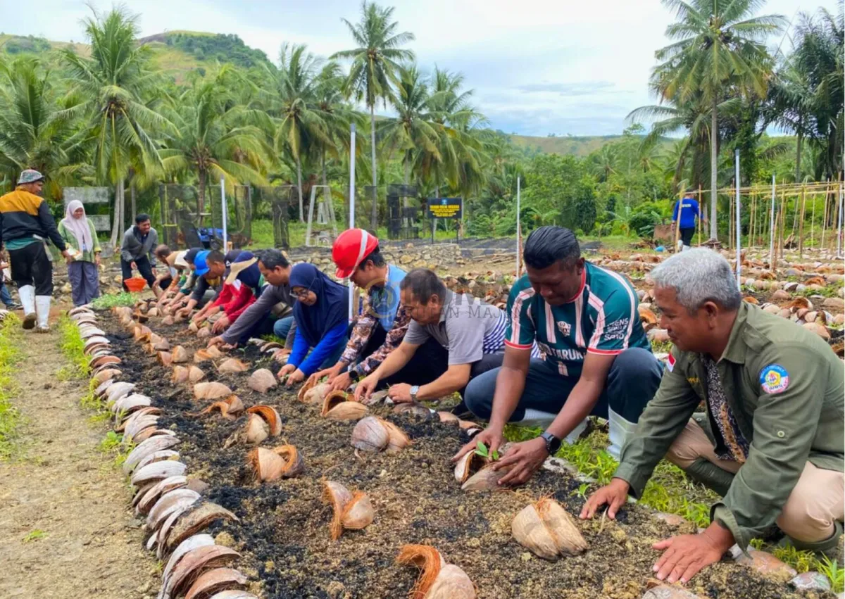 Dukung Program Ketahanan Pangan, Rutan Majene Sinergi dengan Pemkab Majene Tanam Beragam Bibit Sayuran di Lahan SAE Mangge