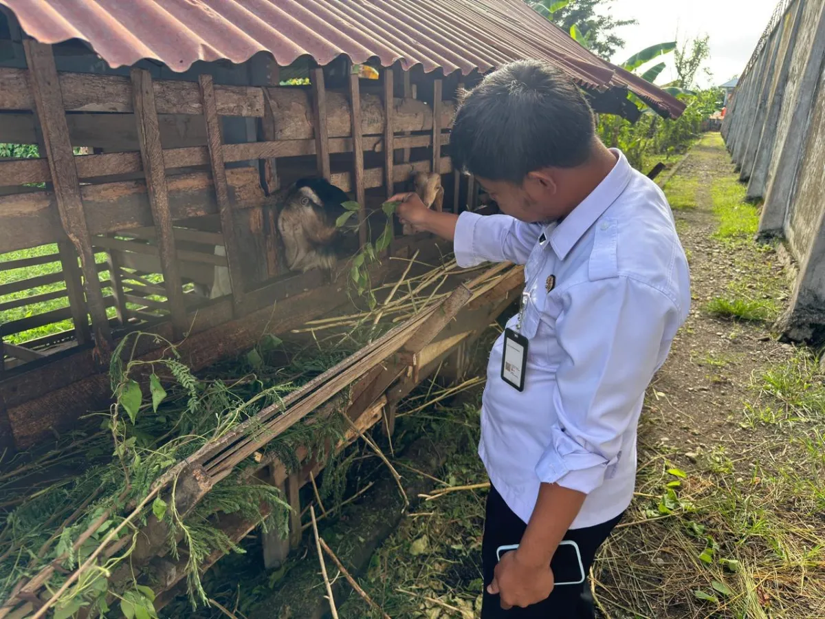 Lapas Polewali Wujudkan Kemandirian Dengan Budidaya Kambing Dan Ikan Nila