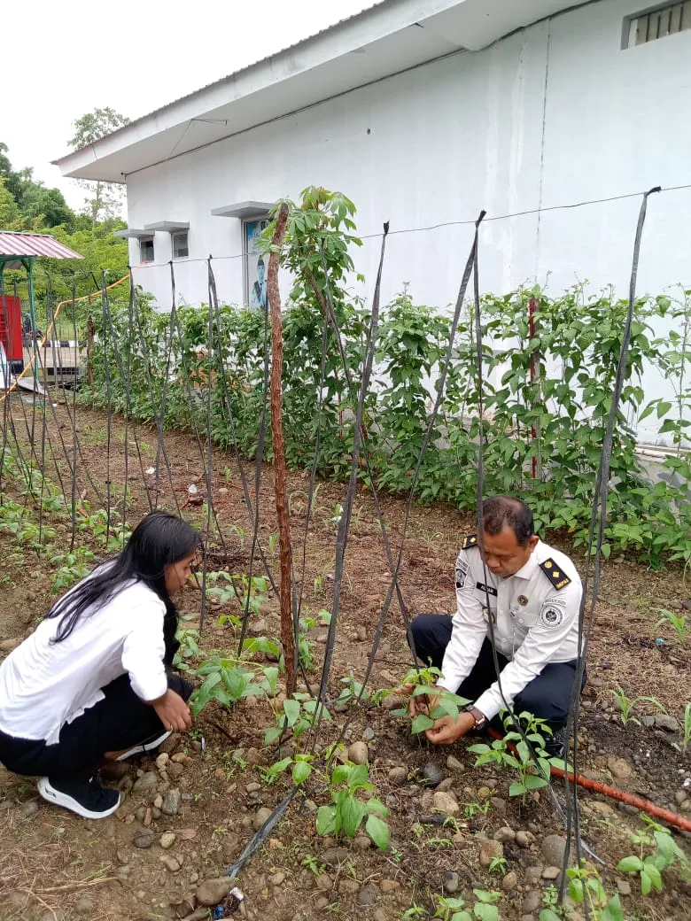 LPKA Kelas II Mamuju Terus Tunjukkan Komitmen Dukung Ketahanan Pangan