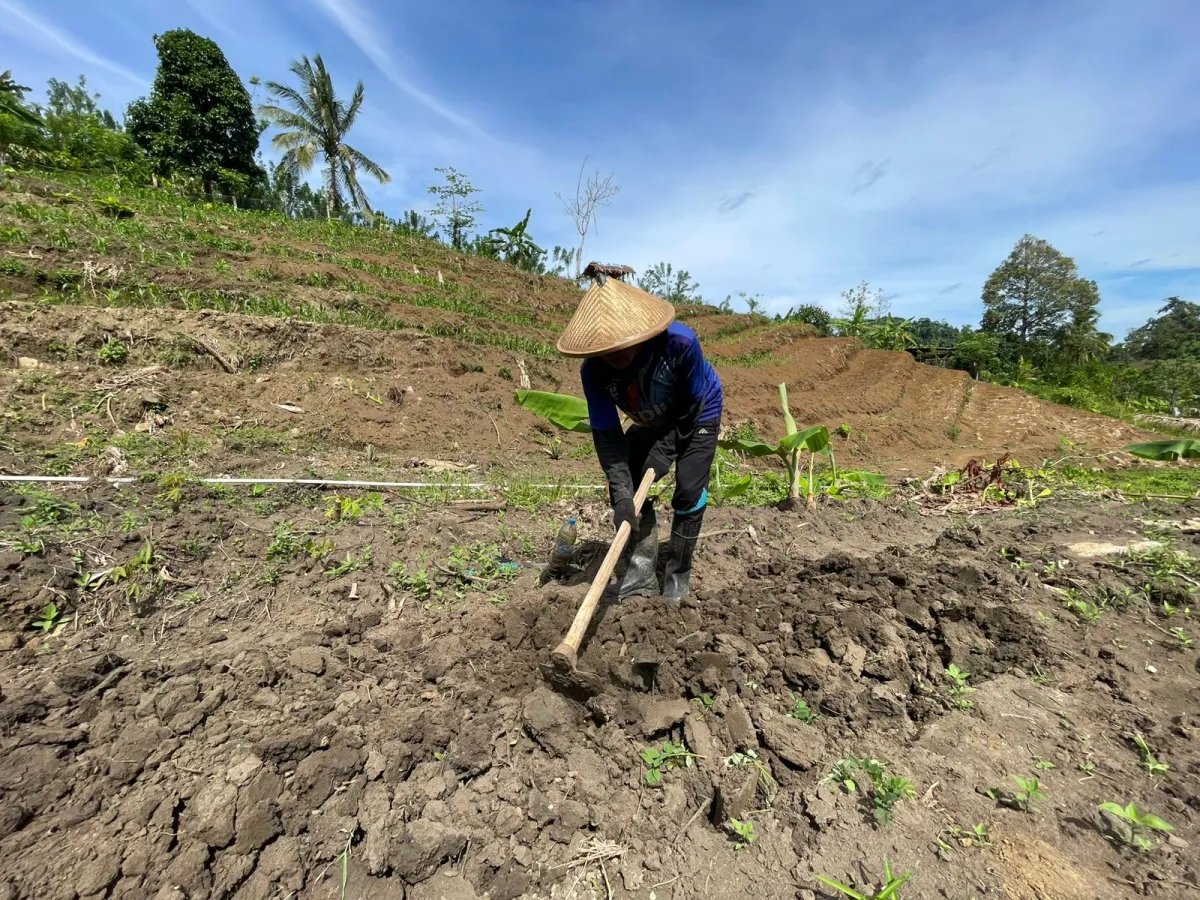 Maksimalkan Program Ketahanan Pangan, Rutan Mamuju Siapkan Bedengan Penyemaian Bibit Tanaman Sayur