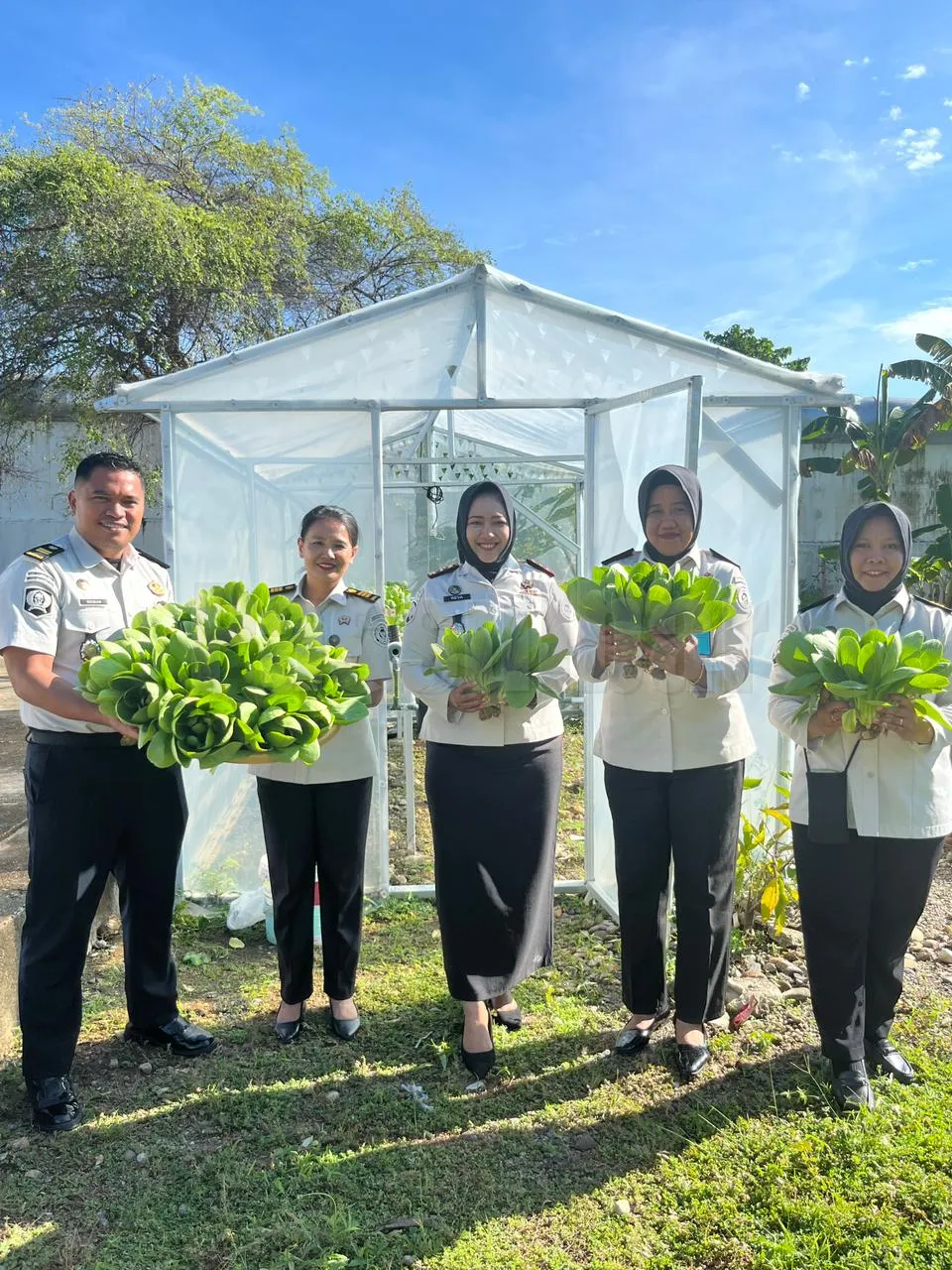 Panen Pakcoy Bersama, Wujud Pembinaan Produktif di Lapas Perempuan Mamuju