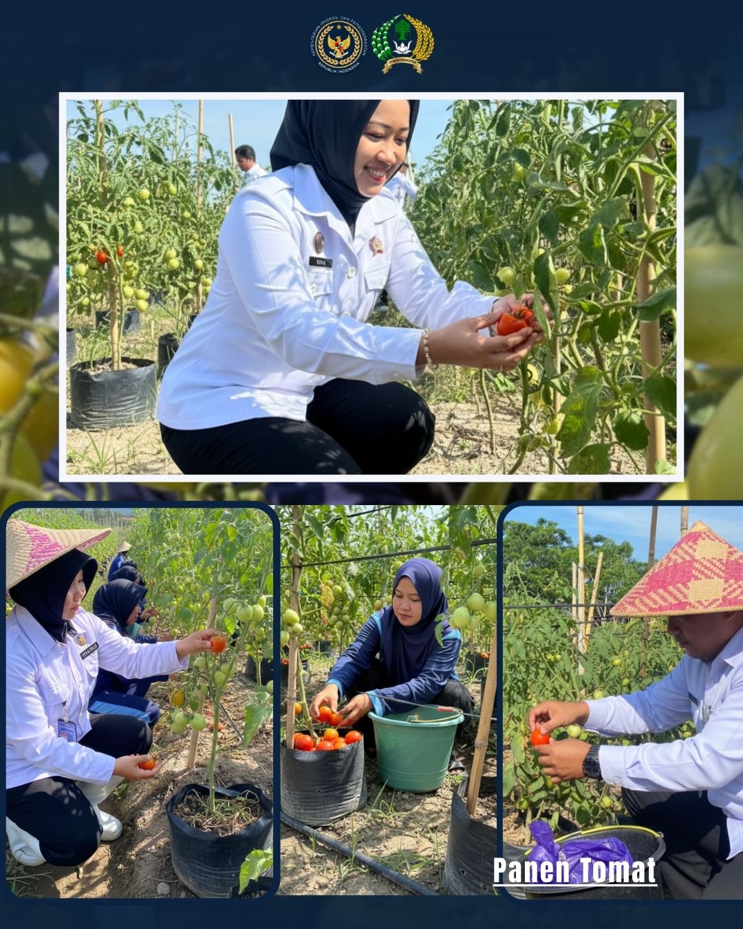 Panen Raya Ketahanan Pangan, Wujud Nyata Pembinaan Kemandirian dan Implementasi 15 Program Aksi Kemenimipas di LPP Mamuju