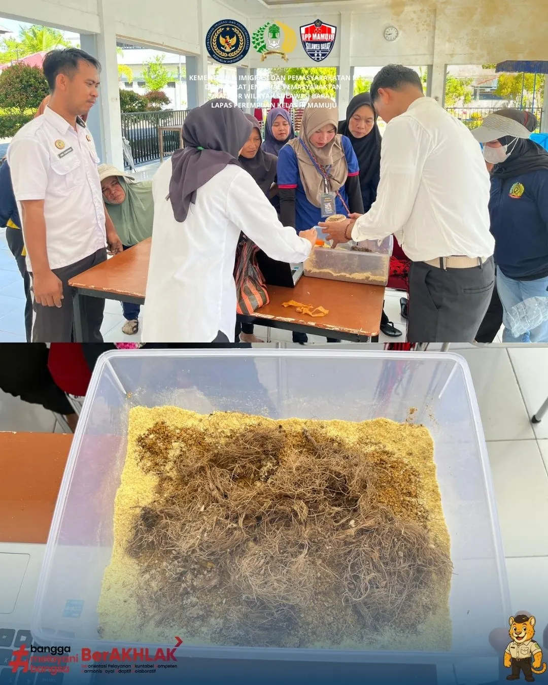 Pembinaan Inovatif, Lapas Perempuan Mamuju Perkenalkan Budidaya Maggot BSF kepada Warga Binaan