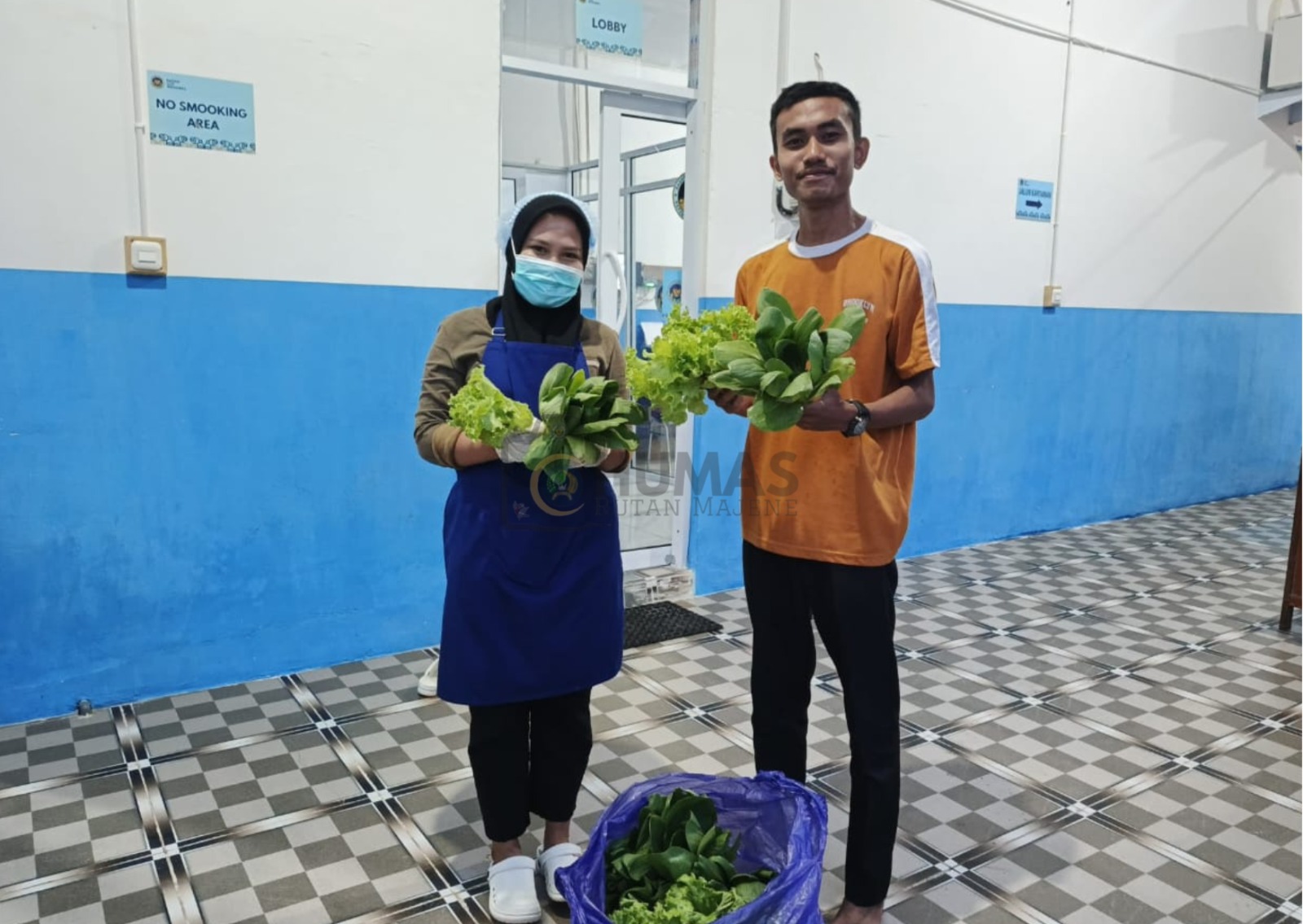 Penuhi Permintaan SPPG, Rutan Majene Suplai Sebanyak 5 Kilogram Selada