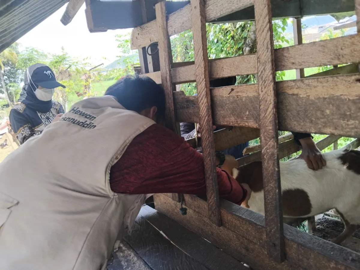 Perkuat Program Peternakan, Lapas Polewali Periksa Kesehatan Ternak