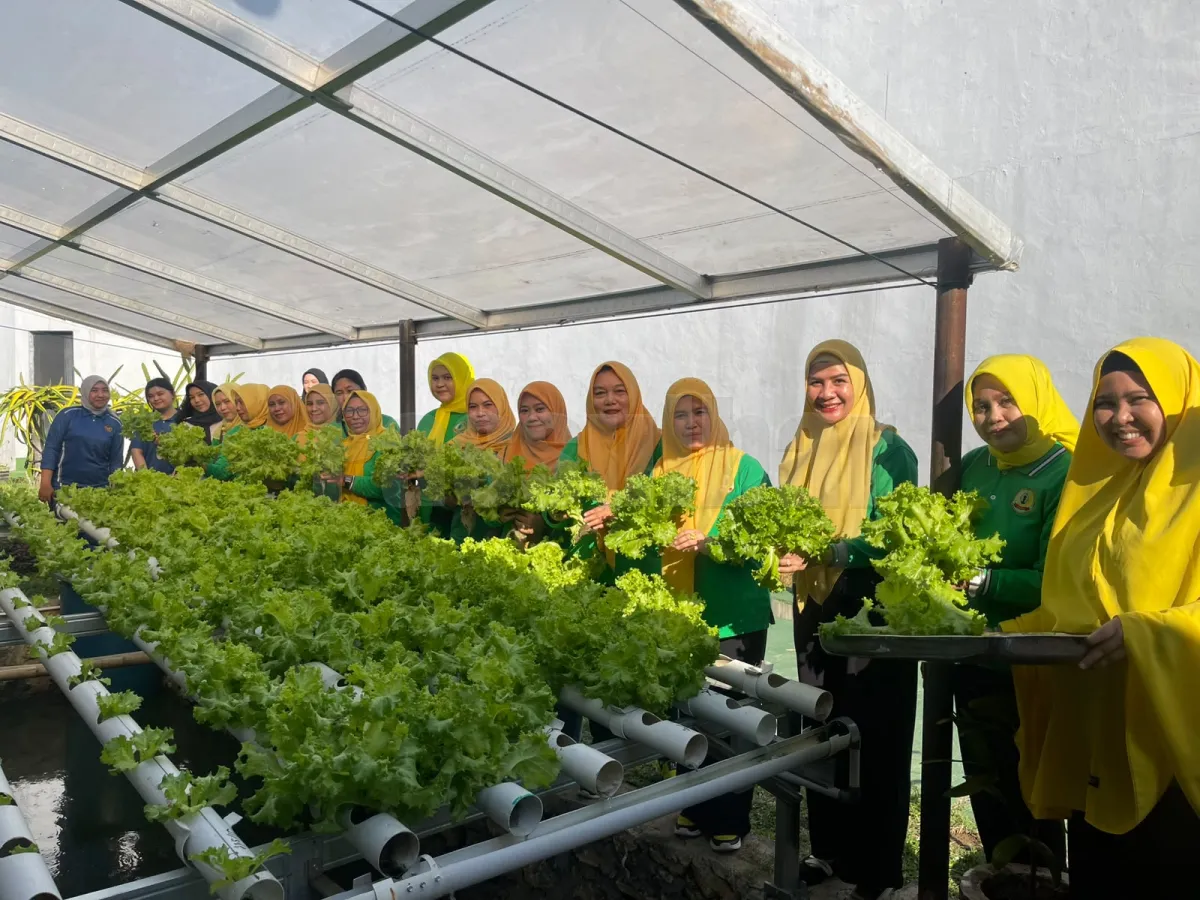 PIPAS Sulbar Dan PIPAS Rutan Mamuju Panen & Tanam Selada, Dorong Inovasi Pertanian Hidroponik