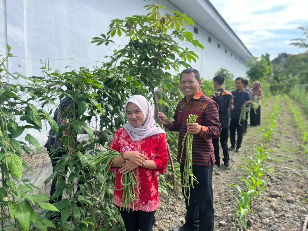 Produktif & Berkelanjutan, LPKA Mamuju Kembali Petik Kacang Panjang di Pekarangan Kantor Bersama Peserta Magang