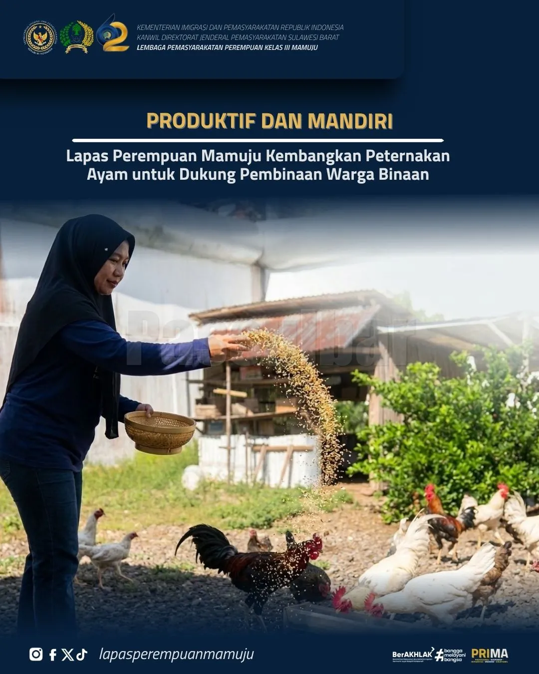 Produktif dan Mandiri, Lapas Perempuan Mamuju Kembangkan Peternakan Ayam untuk Dukung Pembinaan Warga Binaan