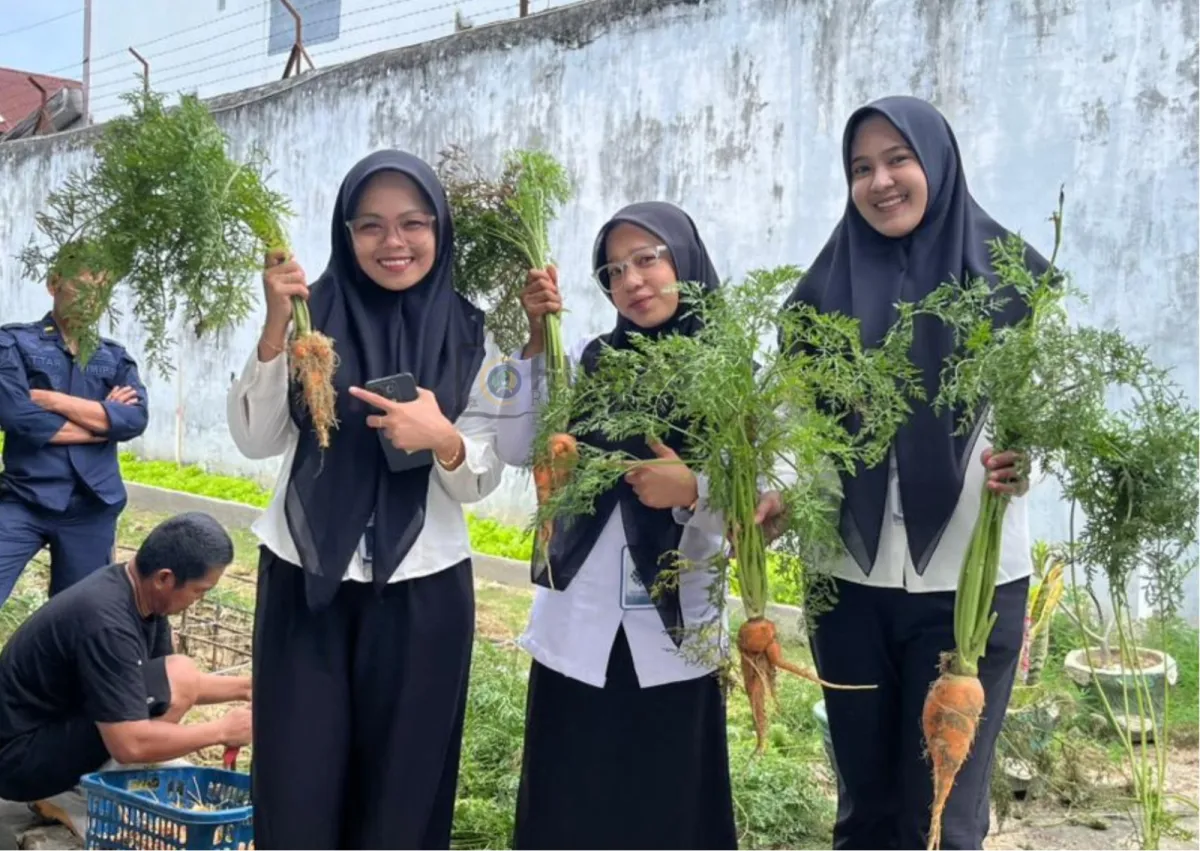 Rutan Majene Panen Sebanyak 5 Kg Wortel di Area Branggang, Wujudkan Program Kemandirian Warga Binaan