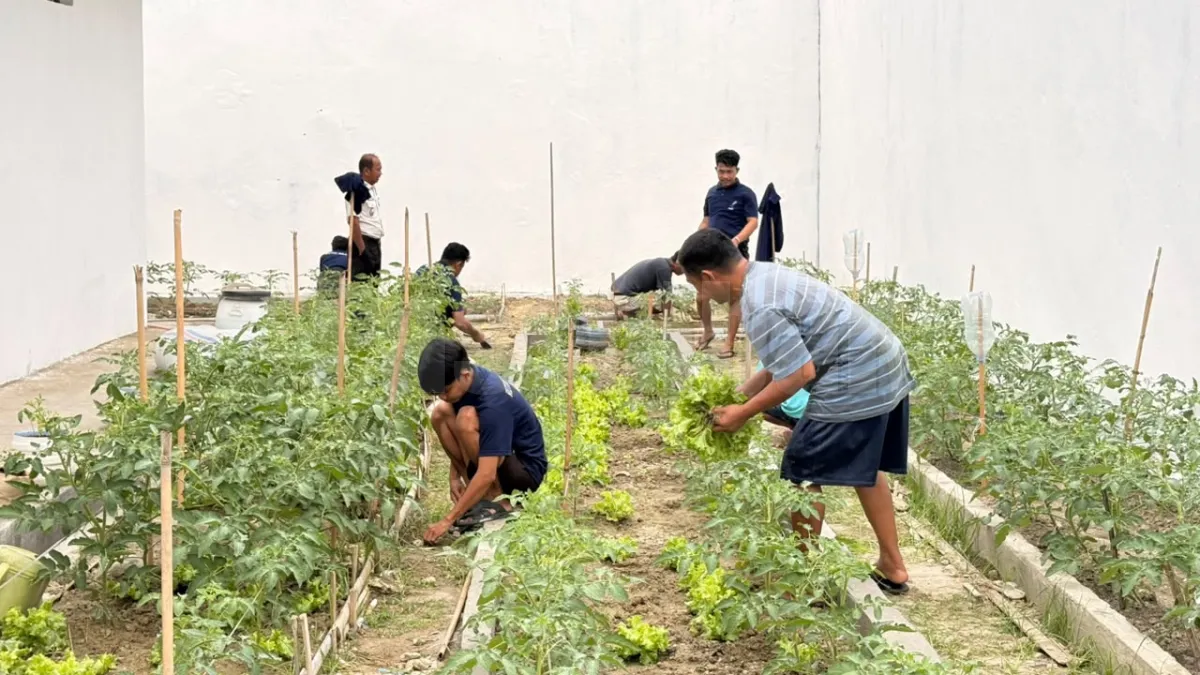 Tanam Asa, Panen Perubahan: Rutan Majene Maksimalkan Program Ketahanan Pangan Melalui Keterampilan Berkebun Warga Binaan