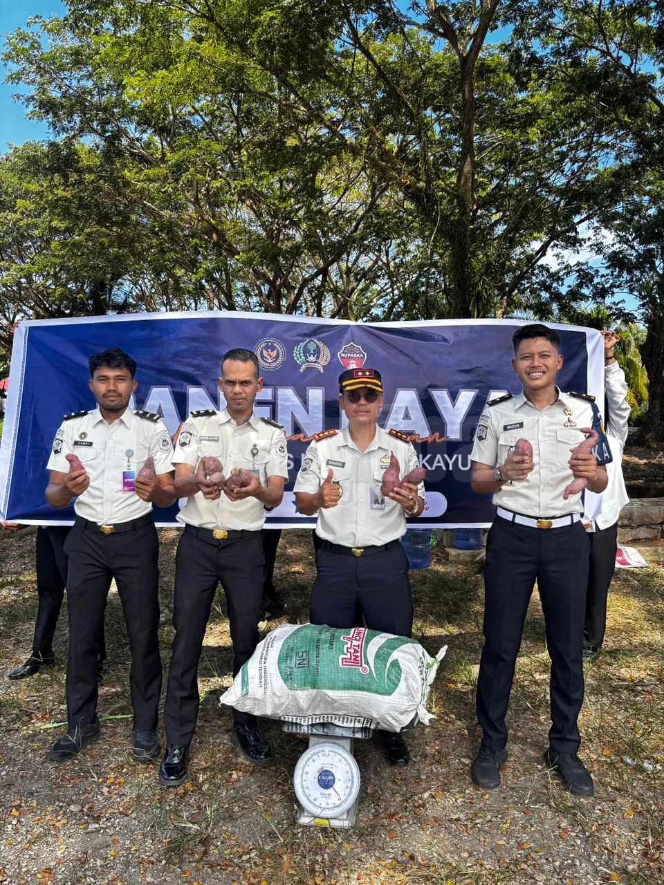 WBP Rutan Pasangkayu Sukses Panen Ubi Jalar dalam Program Ketahanan Pangan