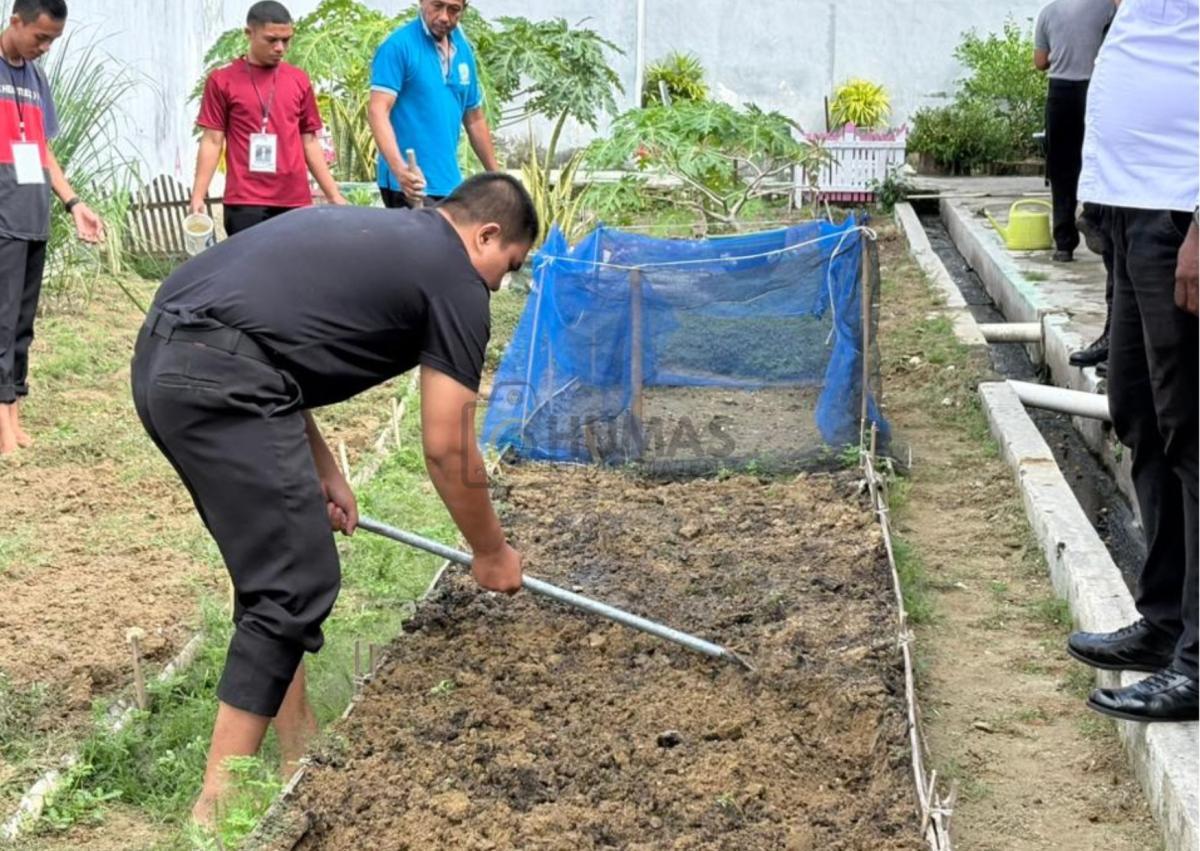 Dukung Ketahanan Pangan, WBP dan Peserta Magang Rutan Kelas IIB Majene Laksanakan Kegiatan Perkebunan.