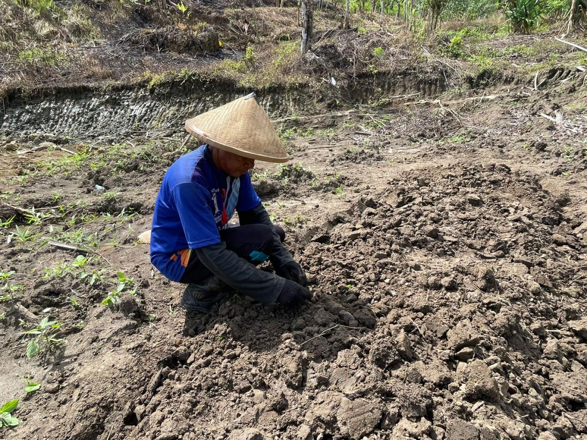 Maksimalkan Program Ketahanan Pangan, Rutan Mamuju Siapkan Bedengan Penyemaian Bibit Tanaman Sayur