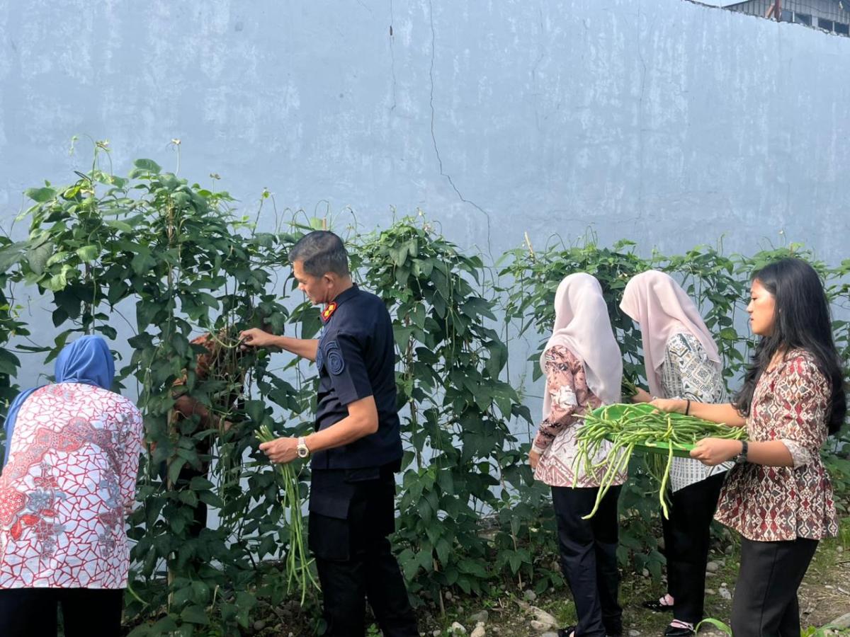 Panen Berkelanjutan! Jajaran LPKA Mamuju Kembali Petik Kacang Panjang di Pekarangan Kantor Bersama Peserta Magang
