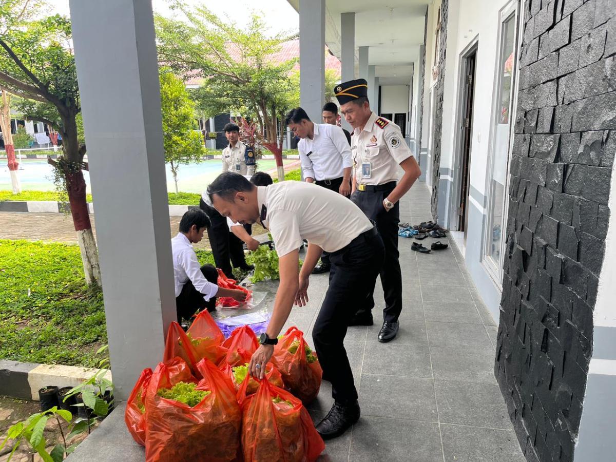 Panen Melimpah Selada Hidroponik, LPKA Mamuju Hasilkan Selada Berkualitas untuk Pasar Lokal